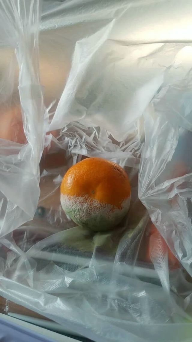 发霉长毛的橘子千万不要丢,拿来有妙用!