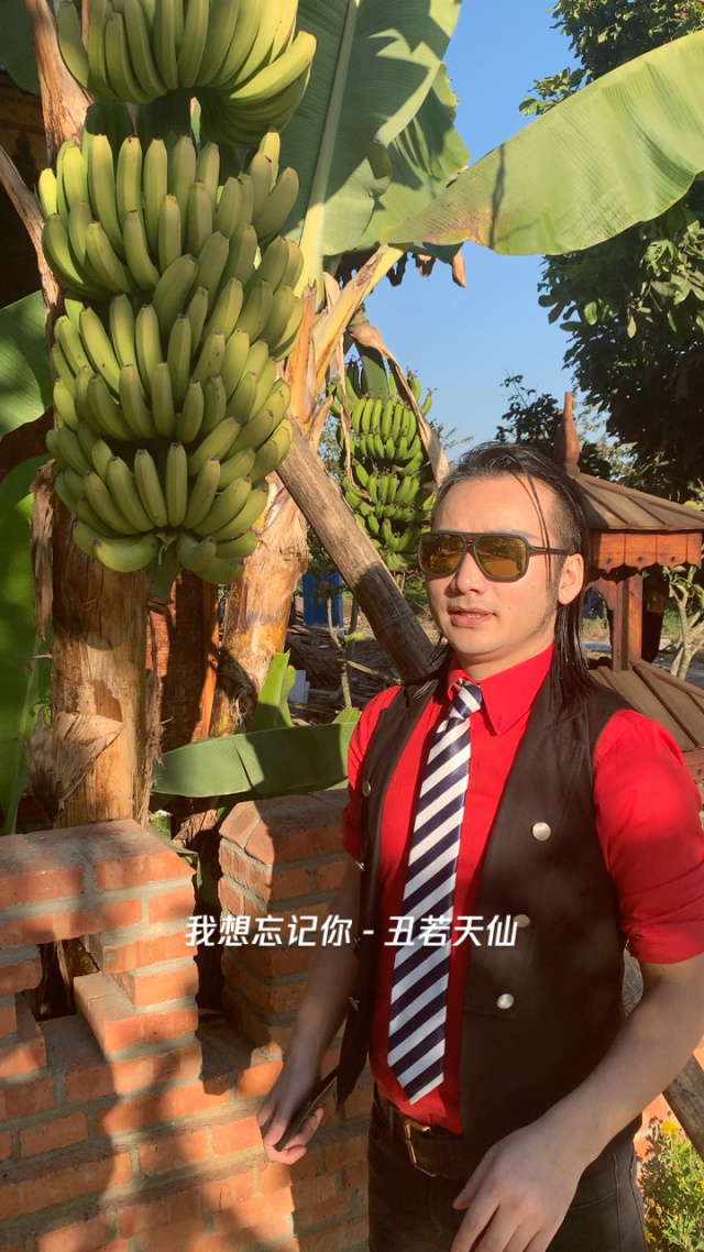 王子哥来到缅甸,告诉大家香蕉是怎么长的