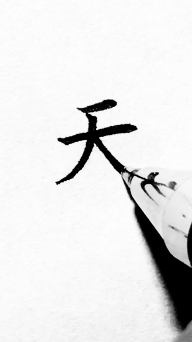 大志书法:楷书写汉字"天"