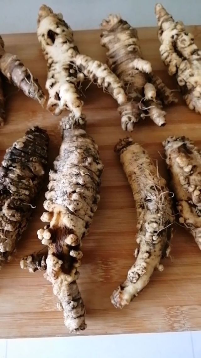 东北野生沙参#朝鲜族美食食材#延边特产#沙参泡酒#美丽珲春