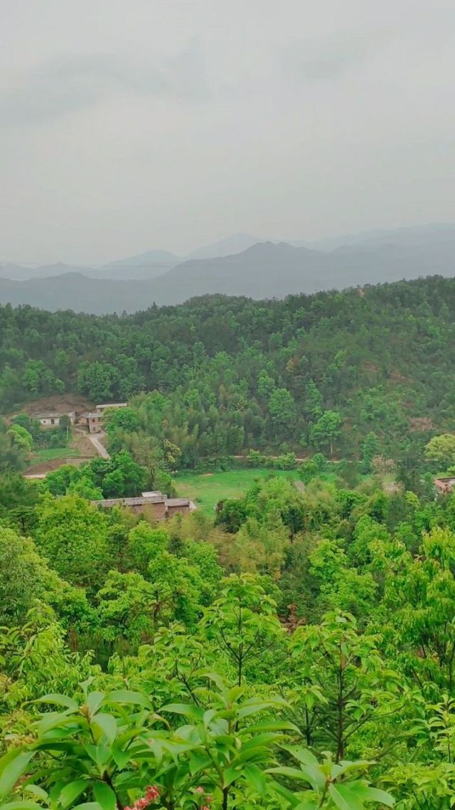 壬山丙向,左水倒右