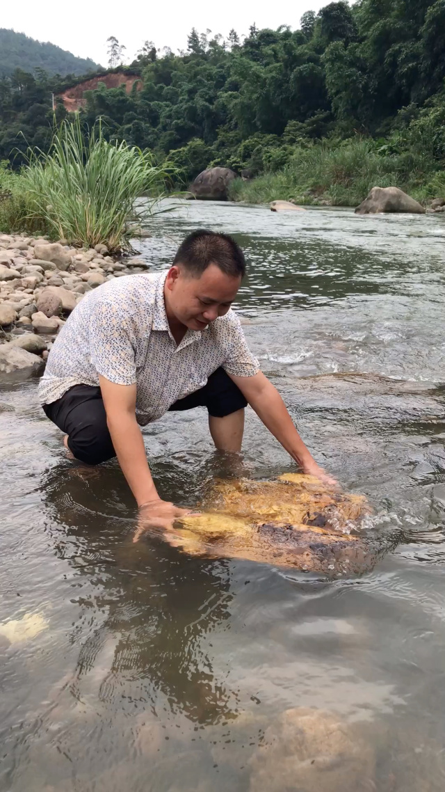 河里捞出一群鱼