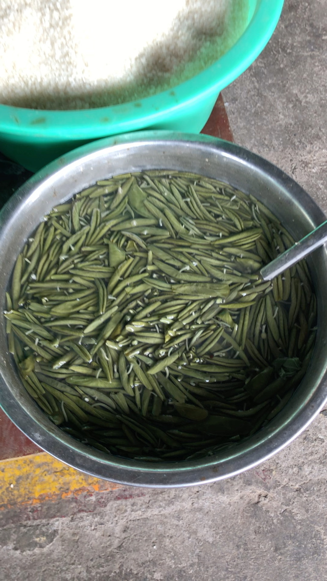 野生莼菜,据说是乾隆下江南最爱的美食